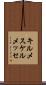 キルメス Scroll