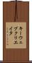 キーウェブクリエイタ Scroll