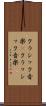 クラシック音楽(P) Scroll