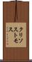 クリソストモス Scroll