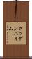 グッゲンハイム Scroll