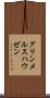グリンメルスハウゼン Scroll