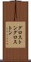 グロストン Scroll