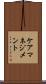 ケアマネジメント Scroll
