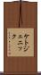 ケトジェニック Scroll
