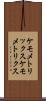 ケモメトリックス Scroll