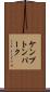 ケンプトンパーク Scroll