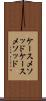 ケースメソッド Scroll