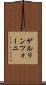 ゲルリンツォーニ Scroll