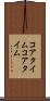 コアタイム Scroll
