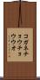 コガネチョウチョウウオ Scroll
