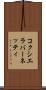 コクシエラバーネッティ Scroll
