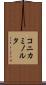 コニカミノルタ Scroll