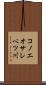 コノエオサレベツ川 Scroll