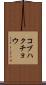 コブハクチョウ Scroll