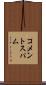 コメントスパム Scroll