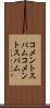 コメントスパム Scroll