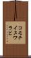 コモチイヌワラビ Scroll