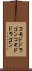 コモドドラゴン Scroll