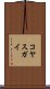 コヤスガイ Scroll
