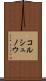コルシュノウ Scroll