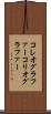 コレオグラファー Scroll
