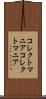 コレクトマニア Scroll