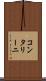 コンタリーニ Scroll