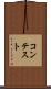 コンテスト Scroll
