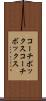 コーチボックス Scroll