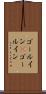 ゴールイン(P) Scroll