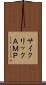 サイクリックＡＭＰ Scroll