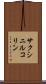 サクシニルコリン Scroll