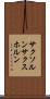 サクソルン Scroll