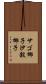 サゴ椰子 Scroll