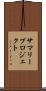 サマリープロジェクト Scroll