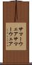 サマーウェア Scroll