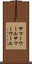 サマーウール Scroll