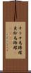 サラサ馬蹄螺;更紗馬蹄螺(ateji) Scroll