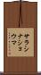 サラシナショウマ Scroll