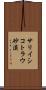 サリイシコトラウ砂漠 Scroll