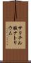 サリチル酸ナトリウム Scroll