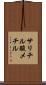 サリチル酸メチル Scroll