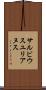 サルビウスユリアヌス Scroll