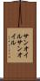 サンオイル Scroll