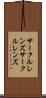 サークルレンズ Scroll