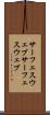 サーフェスウェブ Scroll