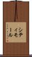 シティモール Scroll