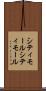 シティモール Scroll