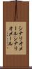 シナリオメール Scroll